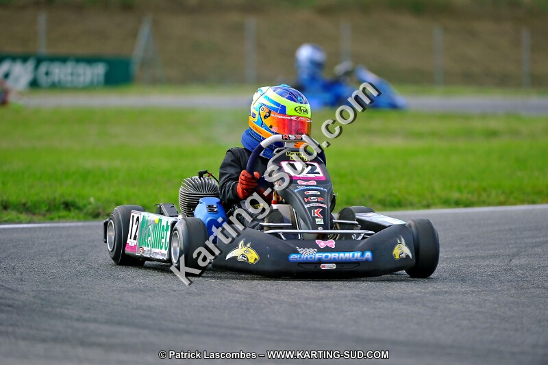 DSC_ (826).jpg